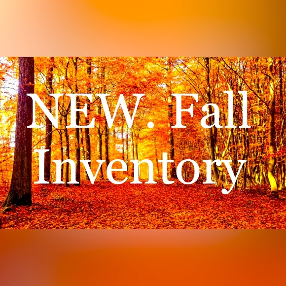 🍁 Nwt Womens Dresses Jeans Shirts & more